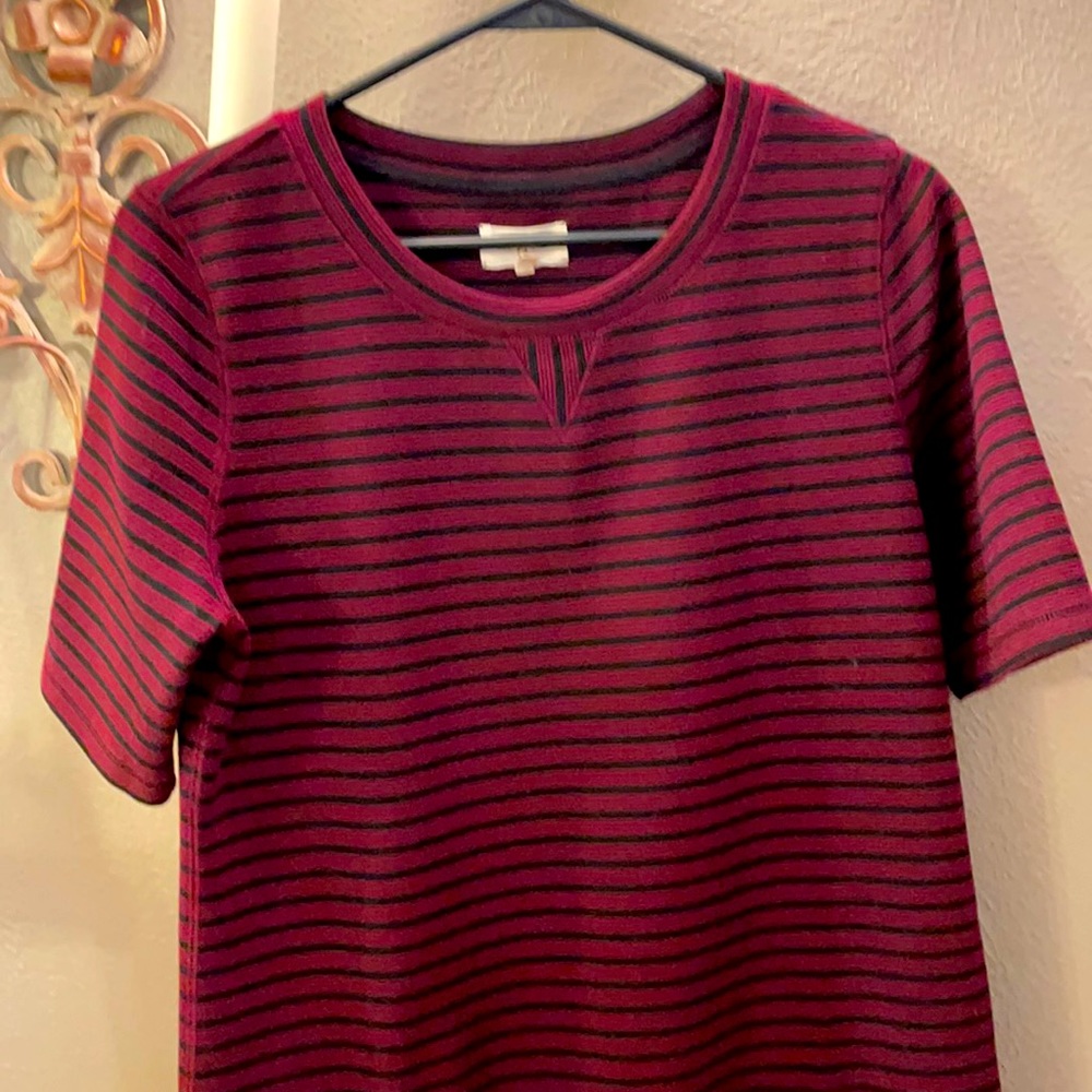 Lou & grey maroon and black stripe dress